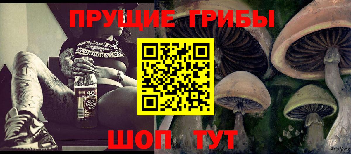 Псилоцибиновые грибы прущие грибы  Псилоцибиновые грибы мухоморы  Карпинск  Вход с VPN 