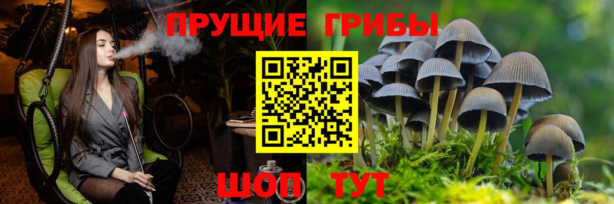 Галлюциногенные грибы MAGIC MUSHROOMS Карпинск